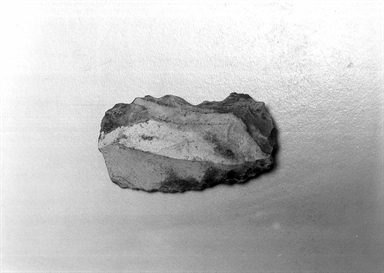 raschiatoio denticolato